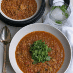 Instant Pot Lentil Chili 7 A hearty bowl of Instant Pot Lentil Chili, garnished with fresh cilantro.